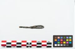 Foto von Bronzenietarmring (NHMW-PRAE-025172)